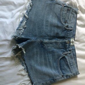 AGOLDE Parker Shorts